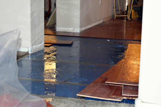 Professional Basement Flood Cleanup technician working in Adamsville, OH